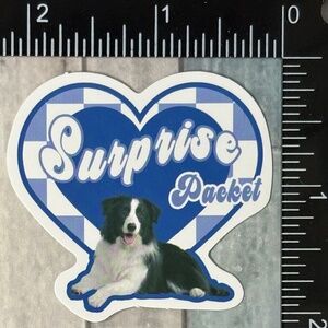 🌀10/$10🌀 Retro Pet Reusable Waterproof Vinyl Sticker Decal